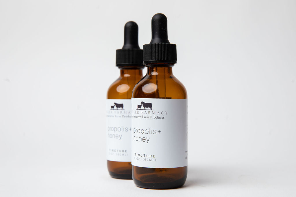 Propolis & Honey Tincture - 1oz